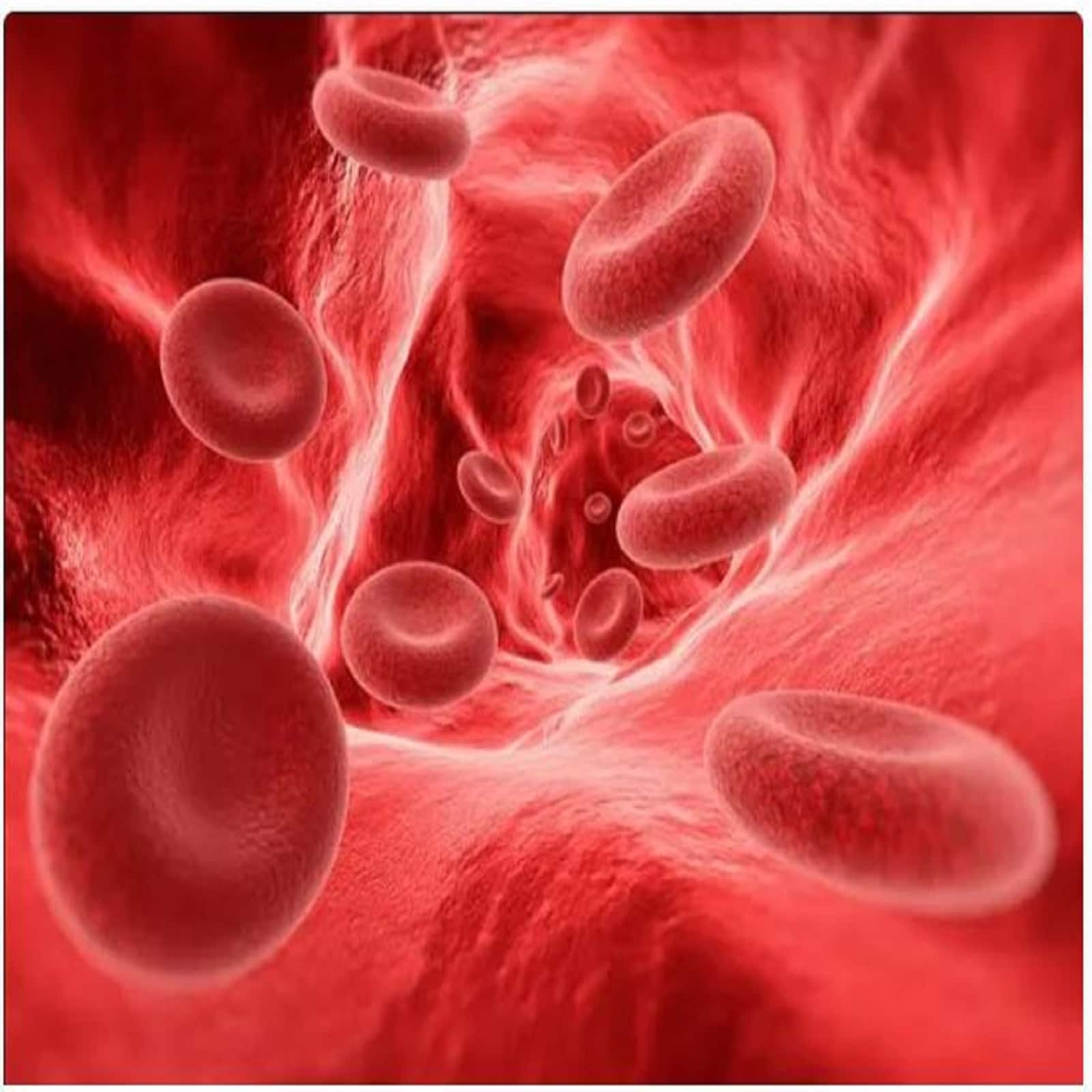 Anemia Problem: ದೇಹದಲ್ಲಿ ರಕ್ತ ಕಡಿಮೆ ಏಕೆ ಆಗುತ್ತೆ? ರಕ್ತಹೀನತೆಗೆ ಕಾರಣಗಳೇನು? - News18 ಕನ್ನಡ