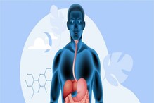 Digestion Problem: ನೀವು ಮಾಡುವ ಈ ತಪ್ಪುಗಳು ಜೀರ್ಣಕ್ರಿಯೆಗೆ ಅಪಾಯವಂತೆ Digestion Problem: ನೀವು ಮಾಡುವ ಈ ತಪ್ಪುಗಳು ಜೀರ್ಣಕ್ರಿಯೆಗೆ ಅಪಾಯವಂತೆ
