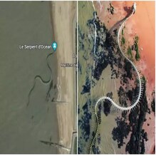 ಭೂಮಿಯ ಮೇಲಿನ ಅತಿದೊಡ್ಡ ಹಾವಿನ ಅಸ್ಥಿಪಂಜರ ಪತ್ತೆ ಮಾಡಿದ Google Map: ವಿಡಿಯೋ ವೈರಲ್