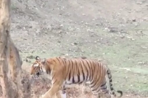 ಸಾಂದರ್ಭಿಕ ಚಿತ್ರ