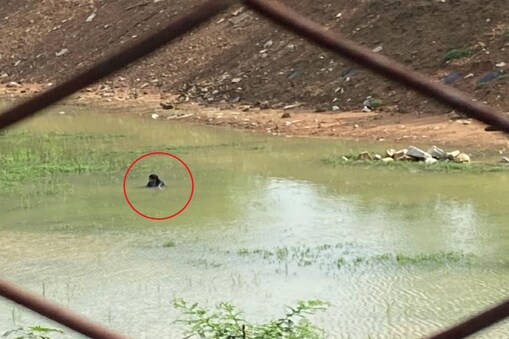 ಕೆರೆಯಲ್ಲಿ ಹೋಗಿ ಕುಳಿತ ಮಹಿಳೆ