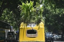 Auto Rickshaw Garden: ಆಟೋ ರಿಕ್ಷಾದ ಮೇಲೆ ಉದ್ಯಾನವನ ಬೆಳೆಸಿದ ಚಾಲಕ Auto Rickshaw Garden: ಆಟೋ ರಿಕ್ಷಾದ ಮೇಲೆ ಉದ್ಯಾನವನ ಬೆಳೆಸಿದ ಚಾಲಕ