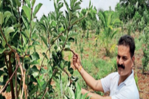 ಸಾಂದರ್ಭಿಕ ಚಿತ್ರ