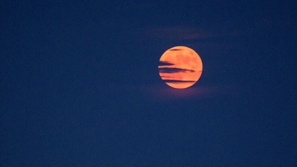 Strawberry Moon ಸ್ಟ್ರಾಬೆರಿ ಮೂನ್ ನೋಡಿದ್ರಾ? ಇಲ್ಲಿವೆ ಫೋಟೋಸ್ News18 ಕನ್ನಡ