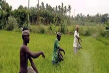 PM Kisan ಯೋಜನೆಯ 11 ನೇ ಕಂತು ಬಿಡುಗಡೆ, ನಿಮ್ಮ ಖಾತೆಗೆ ಹಣ ಬಂದಿದ್ಯಾ? ಹೀಗ್ ಚೆಕ್ ಮಾಡಿ PM Kisan ಯೋಜನೆಯ 11 ನೇ ಕಂತು ಬಿಡುಗಡೆ, ನಿಮ್ಮ ಖಾತೆಗೆ ಹಣ ಬಂದಿದ್ಯಾ? ಹೀಗ್ ಚೆಕ್ ಮಾಡಿ