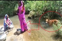 Water Problem: ನಾಯಿ ಸ್ನಾನ ಮಾಡೋ ನೀರನ್ನು ಕುಡಿಯುತ್ತಾರೆ ಇಲ್ಲಿನ ಜನ! ಜೀವಜಲಕ್ಕಾಗಿ ಪರದಾಟ Water Problem: ನಾಯಿ ಸ್ನಾನ ಮಾಡೋ ನೀರನ್ನು ಕುಡಿಯುತ್ತಾರೆ ಇಲ್ಲಿನ ಜನ! ಜೀವಜಲಕ್ಕಾಗಿ ಪರದಾಟ