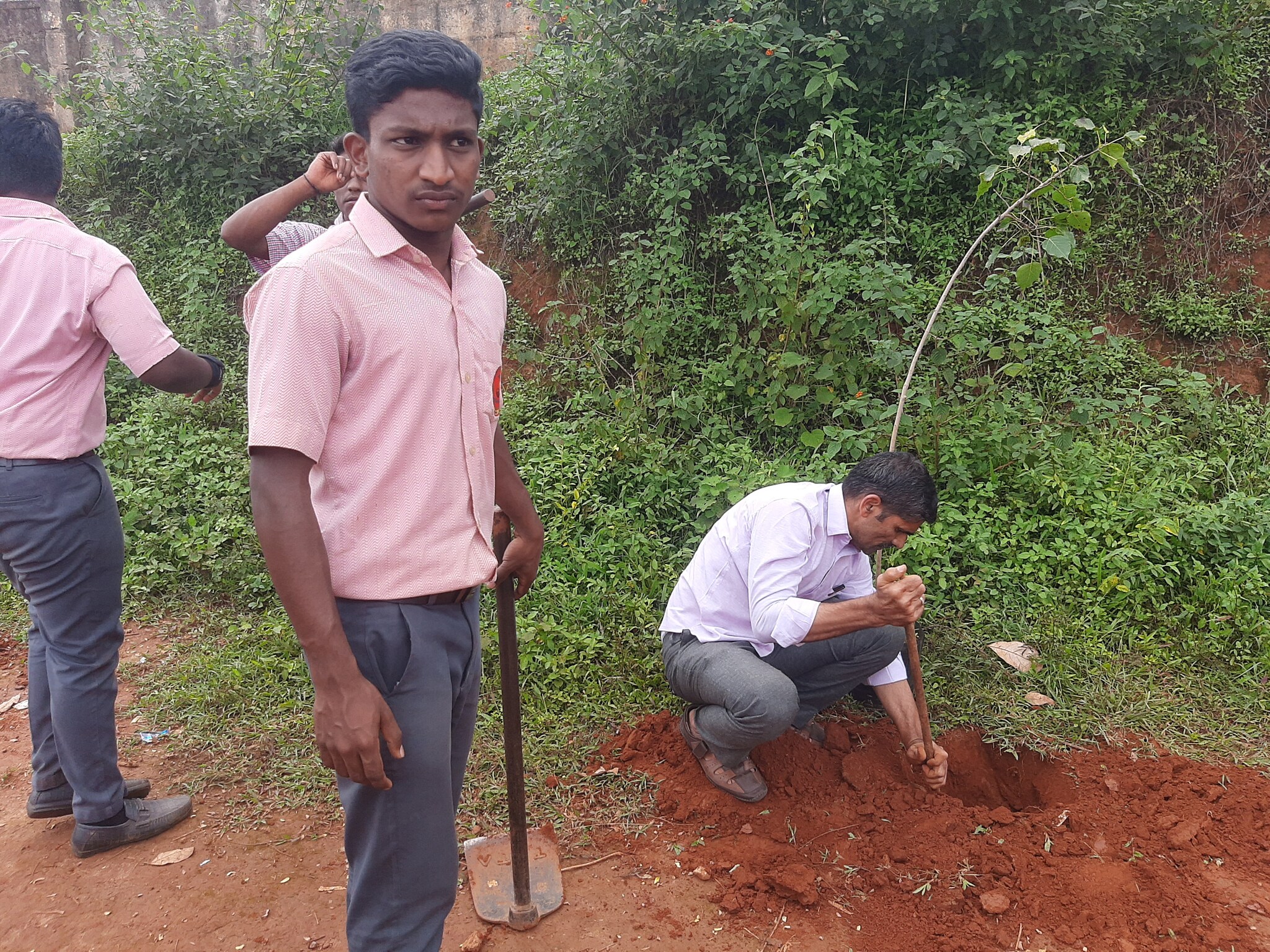 A Nature Lover Plant 1 lakh 80 thousand plants in kodagu rsk mrq