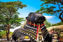 ಚಾಮುಂಡಿ ಬೆಟ್ಟದಲ್ಲಿ ರೋಪ್ ವೇ ನಿರ್ಮಾಣವಿಲ್ಲ, ಜನರನ್ನು ಒಕ್ಕಲೆಬ್ಬಿಸೋದಿಲ್ಲ ಎಂದ ಸರ್ಕಾರ ಚಾಮುಂಡಿ ಬೆಟ್ಟದಲ್ಲಿ ರೋಪ್ ವೇ ನಿರ್ಮಾಣವಿಲ್ಲ, ಜನರನ್ನು ಒಕ್ಕಲೆಬ್ಬಿಸೋದಿಲ್ಲ ಎಂದ ಸರ್ಕಾರ