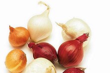 Onion Benefits: ಕೆಂಪು ಈರುಳ್ಳಿಗಿಂತ ಬಿಳಿ ಈರುಳ್ಳಿ ಆರೋಗ್ಯಕರವಂತೆ! ಹೇಗೆ ಗೊತ್ತಾ?