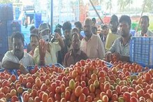 15 ಕೆಜಿ ಟೊಮೆಟೊ ಕೇವಲ 20 ರೂಪಾಯಿ! ಪಾತಾಳಕ್ಕೆ ಕುಸಿದ ಬೆಲೆಯಿಂದ ರೈತರು ಕಂಗಾಲು 15 ಕೆಜಿ ಟೊಮೆಟೊ ಕೇವಲ 20 ರೂಪಾಯಿ! ಪಾತಾಳಕ್ಕೆ ಕುಸಿದ ಬೆಲೆಯಿಂದ ರೈತರು ಕಂಗಾಲು