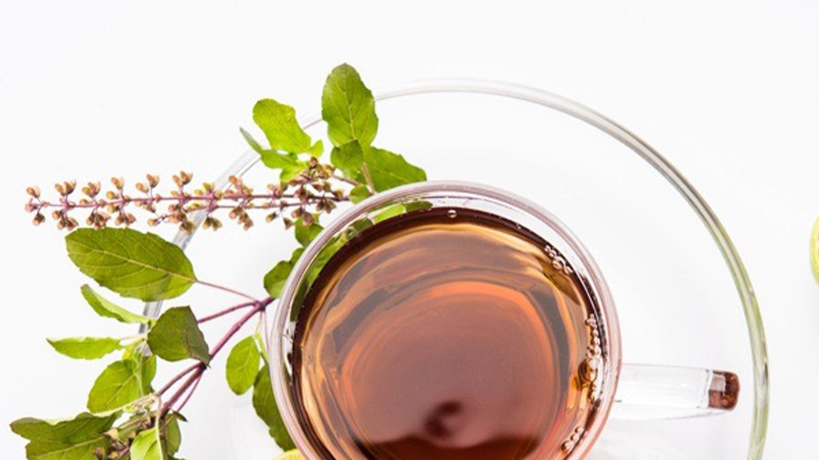 Basil Tea Benefits: ಚರ್ಮ - ಕೂದಲಿನ ಆರೋಗ್ಯಕ್ಕೆ ತುಳಸಿ ಟೀ ಬೆಸ್ಟ್ ಅಂತೆ, ನೀವೂ ...