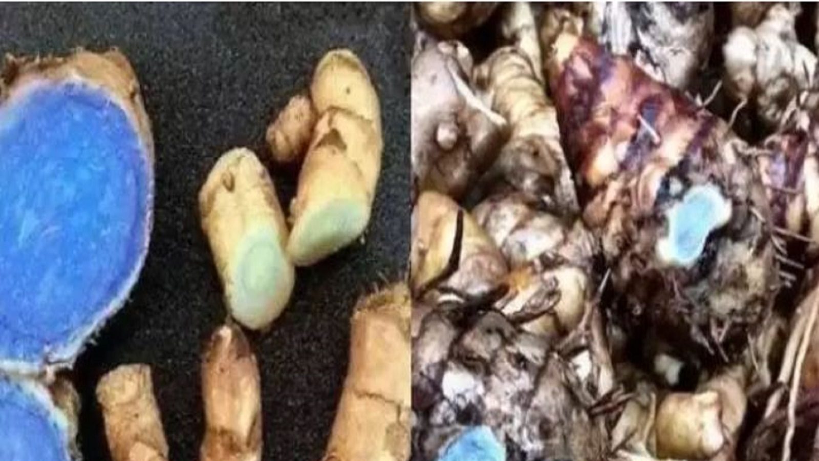 Black turmeric and medicinal properties how cure disease and how much you know ಯಾವ