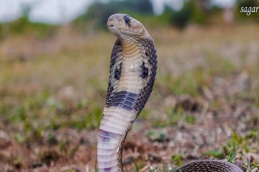 ಸಾಂದರ್ಭಿಕ ಚಿತ್ರ