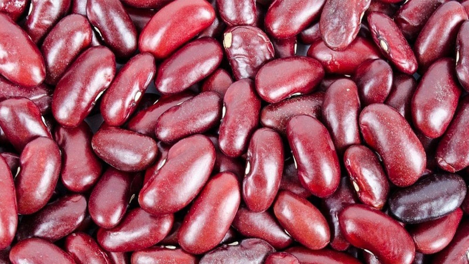 kidney beans are effective at maintaining blood sugar levels as they
