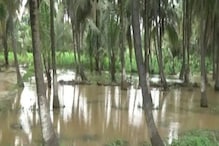 Heavy Rain: ರಾಮನಗರ ಜಿಲ್ಲೆಯಲ್ಲಿ ಅತಿವೃಷ್ಟಿ, ರೈತರ ಜಮೀನಿನಲ್ಲೇ ಏಕಾಏಕಿ ಹಳ್ಳ ಸೃಷ್ಟಿ!