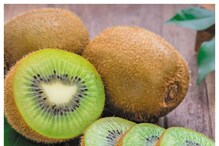 Kiwi Fruits: ಬೆಳಗ್ಗೆ ಖಾಲಿ ಹೊಟ್ಟೆಯಲ್ಲಿ ಕಿವಿ ಹಣ್ಣು ತಿಂದ್ರೆ ರೋಗ ನಿರೋಧಕ ಶಕ್ತಿ ಹೆಚ್ಚಾಗುತ್ತೆ