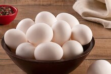 Eggs: ಮೊಟ್ಟೆ ಸಸ್ಯಾಹಾರಿಯೇ ಅಥವಾ ಮಾಂಸಾಹಾರವೇ? ನಿಮ್ಮ ಗೊಂದಲಕ್ಕೆ ಇಲ್ಲಿದೆ ಉತ್ತರ