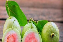 Guava Benefits: ಫೈಬರ್, ವಿಟಮಿನ್ ಸಿ ಸತ್ವ ಹೊಂದಿರುವ ಪೇರಲೆ ಹಣ್ಣಿನಲ್ಲಿದೆ ಹಲವು ಪ್ರಯೋಜನಗಳು