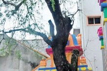 ಈ ಹಳ್ಳಿಯಲ್ಲಿರುವ ಸ್ವತಂತ್ರ ವೃಕ್ಷದ ಮಹತ್ವವೇನು? ಸ್ವಾತಂತ್ರ್ಯೋತ್ಸವದಂದು ಇಲ್ಲಿ ಹಬ್ಬದ ಸಂಭ್ರಮವೇಕೆ? ಈ ಹಳ್ಳಿಯಲ್ಲಿರುವ ಸ್ವತಂತ್ರ ವೃಕ್ಷದ ಮಹತ್ವವೇನು? ಸ್ವಾತಂತ್ರ್ಯೋತ್ಸವದಂದು ಇಲ್ಲಿ ಹಬ್ಬದ ಸಂಭ್ರಮವೇಕೆ?