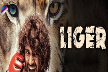 Vijay Deverakonda Liger Collection: ಹೇಗಿದೆ ಲೈಗರ್ ಚಿತ್ರದ ಮೊದಲ ದಿನದ ಕಲೆಕ್ಷನ್? Vijay Deverakonda Liger Collection: ಹೇಗಿದೆ ಲೈಗರ್ ಚಿತ್ರದ ಮೊದಲ ದಿನದ ಕಲೆಕ್ಷನ್?
