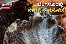 Bengaluru Nag Panchami: ಬೆಂಗಳೂರಲ್ಲಿ ಸಂಭ್ರಮದ ನಾಗರ ಪಂಚಮಿ! ಆಚರಣೆ, ವೈಭವದ ಝಲಕ್ ಹೀಗಿತ್ತು!
