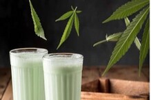Bhang: ಎನ್ಡಿಪಿಎಸ್ ಕಾಯ್ದೆಯಡಿ ಭಾಂಗ್ ನಿಷೇಧಿತ ಡ್ರಗ್ ಅಲ್ಲ ಎಂದ ಕರ್ನಾಟಕ ಹೈಕೋರ್ಟ್! Bhang: ಎನ್ಡಿಪಿಎಸ್ ಕಾಯ್ದೆಯಡಿ ಭಾಂಗ್ ನಿಷೇಧಿತ ಡ್ರಗ್ ಅಲ್ಲ ಎಂದ ಕರ್ನಾಟಕ ಹೈಕೋರ್ಟ್!