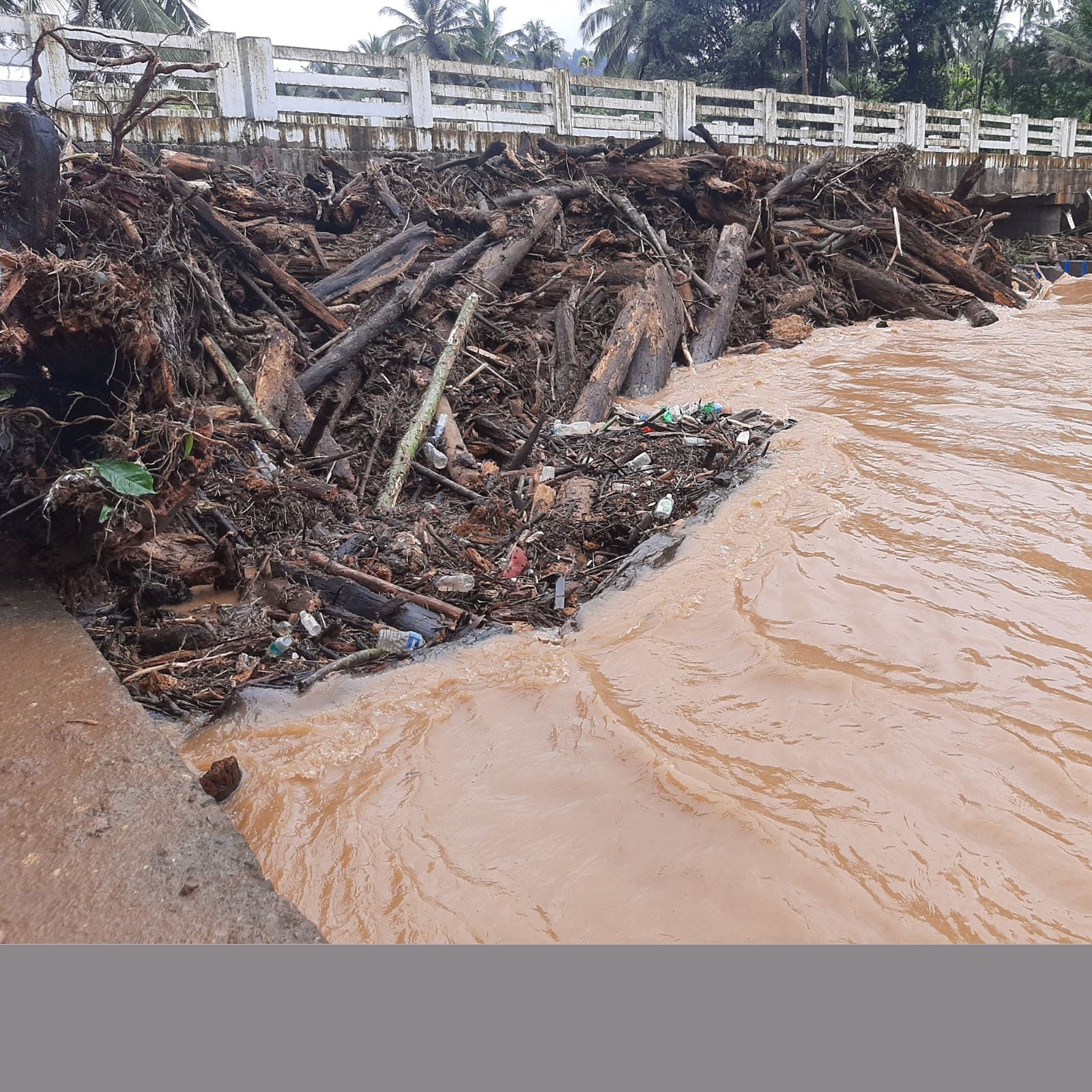 Payaswini river flood at koikod madikeri rsk mrq