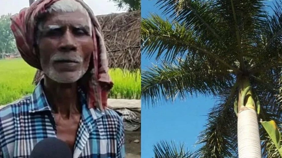 a husband has been sitting on an 80 feet tall tree for a month unable to  tolerate his wife's harassment IV News | irshi Videos