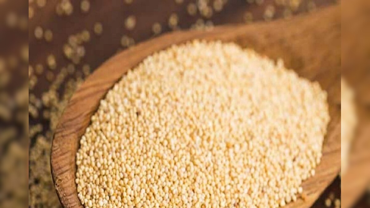 Khus Khus Benefits ಮನೆಯಲ್ಲಿ ಗಸಗಸೆ ಇದ್ರೆ ಸಾಕು, ಈ ಆರೋಗ್ಯ ಸಮಸ್ಯೆಗಳು