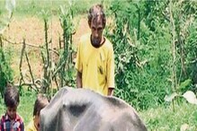 ಅಂದು ಭಾರತದ ಕೀರ್ತಿ ಪತಾಕೆ ಹಾರಿಸಿದ್ದ ಕ್ರಿಕೆಟಿಗ, ಇಂದು ದುಡ್ಡಿಲ್ಲದೇ ಎಮ್ಮೆ ಮೇಯಿಸುತ್ತಿದ್ದಾರೆ! ಅಂದು ಭಾರತದ ಕೀರ್ತಿ ಪತಾಕೆ ಹಾರಿಸಿದ್ದ ಕ್ರಿಕೆಟಿಗ, ಇಂದು ದುಡ್ಡಿಲ್ಲದೇ ಎಮ್ಮೆ ಮೇಯಿಸುತ್ತಿದ್ದಾರೆ!