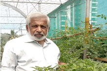 Terrace Farming: ವಯಸ್ಸು 63, ಆದ್ರೆ ಇವರ ಟೆರೇಸ್ ಮೇಲಿನ ಕೈತೋಟ ಹೇಗಿದೆ ನೋಡಿ Terrace Farming: ವಯಸ್ಸು 63, ಆದ್ರೆ ಇವರ ಟೆರೇಸ್ ಮೇಲಿನ ಕೈತೋಟ ಹೇಗಿದೆ ನೋಡಿ