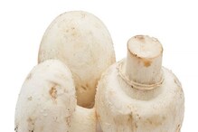 Mushroom: ಅಣಬೆ ಆರೋಗ್ಯಕ್ಕೆ ಉತ್ತಮ ಮಾತ್ರವಲ್ಲ ಸೈಡ್ ಎಫೆಕ್ಟ್ಸ್ ಕೂಡ ಇದೆಯಂತೆ