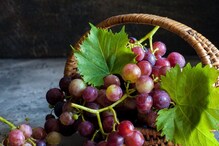 Grapes Benefits: ಪ್ರತಿದಿನ ಒಂದು ಕಪ್ ದ್ರಾಕ್ಷಿ ತಿಂದ್ರೆ ಸಾಕು ತೂಕ ಇಳಿಸೋದು ಸುಲಭವಾಗುತ್ತೆ