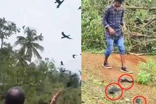 ಗುತ್ತಿಗೆದಾರರ ನಿರ್ಲಕ್ಷ್ಯ: ಹೆದ್ದಾರಿ ನಿರ್ಮಾಣಕ್ಕಾಗಿ ಹಕ್ಕಿಗಳ ಮಾರಣಹೋಮ! ಗುತ್ತಿಗೆದಾರರ ನಿರ್ಲಕ್ಷ್ಯ: ಹೆದ್ದಾರಿ ನಿರ್ಮಾಣಕ್ಕಾಗಿ ಹಕ್ಕಿಗಳ ಮಾರಣಹೋಮ!