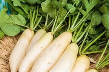 Radish: ಊಟದ ವೇಳೆ ಹೆಚ್ಚು ಮೂಲಂಗಿ ತಿಂತೀರಾ? ಮರೆಯದೇ ಈ ಮುನ್ನೆಚ್ಚರಿಕೆಗಳನ್ನು ಪಾಲಿಸಿ Radish: ಊಟದ ವೇಳೆ ಹೆಚ್ಚು ಮೂಲಂಗಿ ತಿಂತೀರಾ? ಮರೆಯದೇ ಈ ಮುನ್ನೆಚ್ಚರಿಕೆಗಳನ್ನು ಪಾಲಿಸಿ