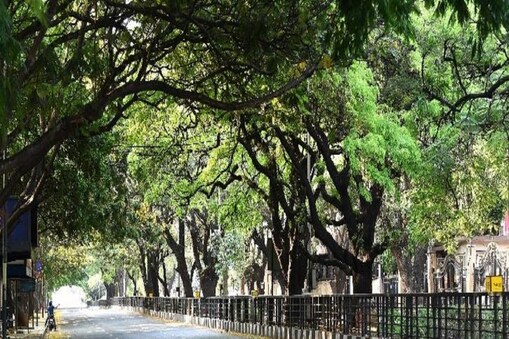 ಸಾಂದರ್ಭಿಕ ಚಿತ್ರ