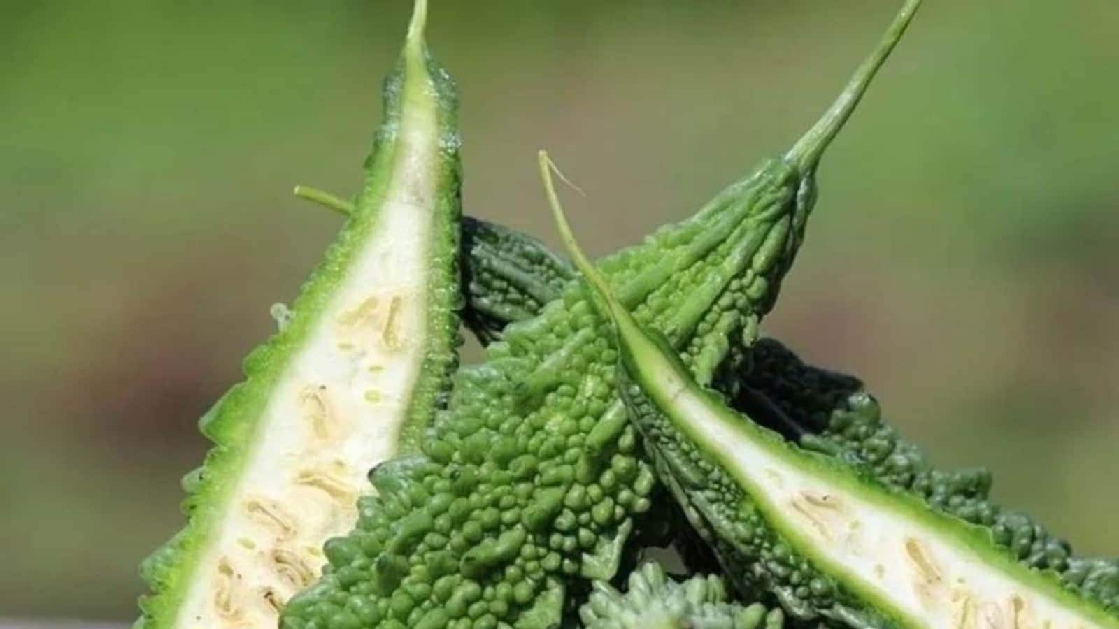 these are bitter gourd skin care benefits Bitter Gourd ಕಹಿ ಅಂತ ಮೂಗು ಮುರಿಯುವ ಹಾಗಲಕಾಯಿ ನಿಮ್ಮ