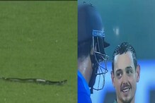 IND vs SA ಪಂದ್ಯದ ವೇಳೆ ಮೈದಾನಕ್ಕೆ ನುಗ್ಗಿದ ಹಾವು, ಕುಕ್ಕೆಗೆ ಹೋಗಿ ಪೂಜೆ ಮಾಡ್ಸಿ ಎಂದ ಫ್ಯಾನ್ಸ್! IND vs SA ಪಂದ್ಯದ ವೇಳೆ ಮೈದಾನಕ್ಕೆ ನುಗ್ಗಿದ ಹಾವು, ಕುಕ್ಕೆಗೆ ಹೋಗಿ ಪೂಜೆ ಮಾಡ್ಸಿ ಎಂದ ಫ್ಯಾನ್ಸ್!