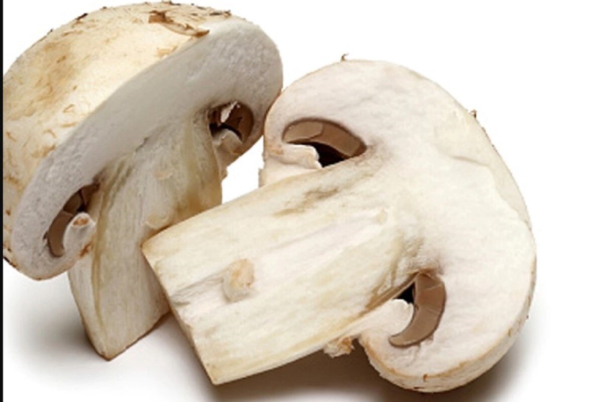 Health Benefits Of Mushroom ಅಣಬೆಗಳು ರುಚಿಯೊಂದೇ ಅಲ್ಲ, ರೋಗ ತಡೆಗಟ್ಟುವ