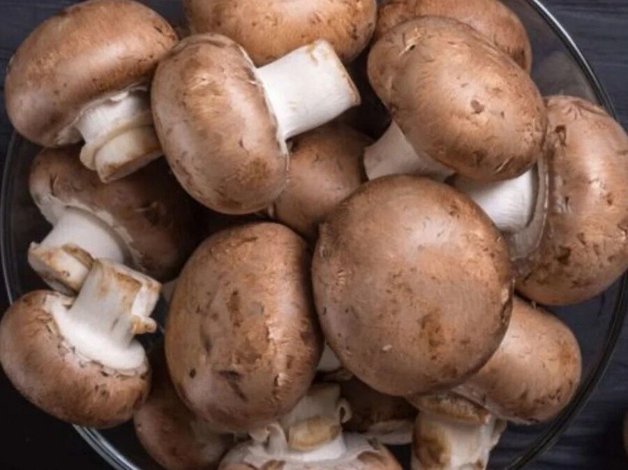 Health Benefits Of Mushroom ಅಣಬೆಗಳು ರುಚಿಯೊಂದೇ ಅಲ್ಲ, ರೋಗ ತಡೆಗಟ್ಟುವ