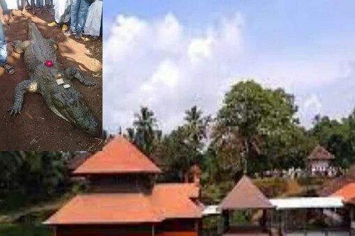 ಬಬಿಯಾ ಮೊಸಳೆ ಮತ್ತು ದೇವಸ್ಥಾನ