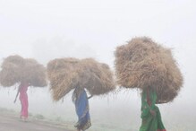 Karnataka Weather Report: ಅಕಾಲಿಕ ಮಳೆಗೆ ಬೆಳೆ ನಾಶ, ಹೆಚ್ಚಾಯ್ತು ಚಳಿ