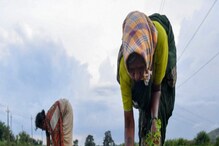 Farming: ಹವಾಮಾನ ವೈಪರೀತ್ಯಗಳಿಂದ ಹೊಲಗಳಲ್ಲಿ ಬೆಳೆಗಳನ್ನು ಕಳೆದುಕೊಳ್ಳುತ್ತಿರುವ ಮಹಿಳೆಯರು, ಪರಿಹಾರಗಳೇನ