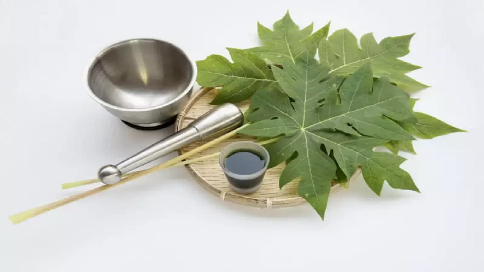 Papaya Leaves Juice ಹಣ್ಣು ಮಾತ್ರವಲ್ಲ, ಪಪ್ಪಾಯಿ ಎಲೆಯ ಜ್ಯೂಸ್ ಕೂಡಾ ಬೆಸ್ಟ್