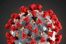 Coronavirus: ಕೊರೋನಾದಿಂದ ಹೆಚ್ಚಾಗಿದೆ ಈ ಗಂಭೀರ ಸಮಸ್ಯೆ, ಅಧ್ಯಯನದಲ್ಲಿ ಆಘಾತಕಾರಿ ಅಂಶ ಬಯಲು Coronavirus: ಕೊರೋನಾದಿಂದ ಹೆಚ್ಚಾಗಿದೆ ಈ ಗಂಭೀರ ಸಮಸ್ಯೆ, ಅಧ್ಯಯನದಲ್ಲಿ ಆಘಾತಕಾರಿ ಅಂಶ ಬಯಲು