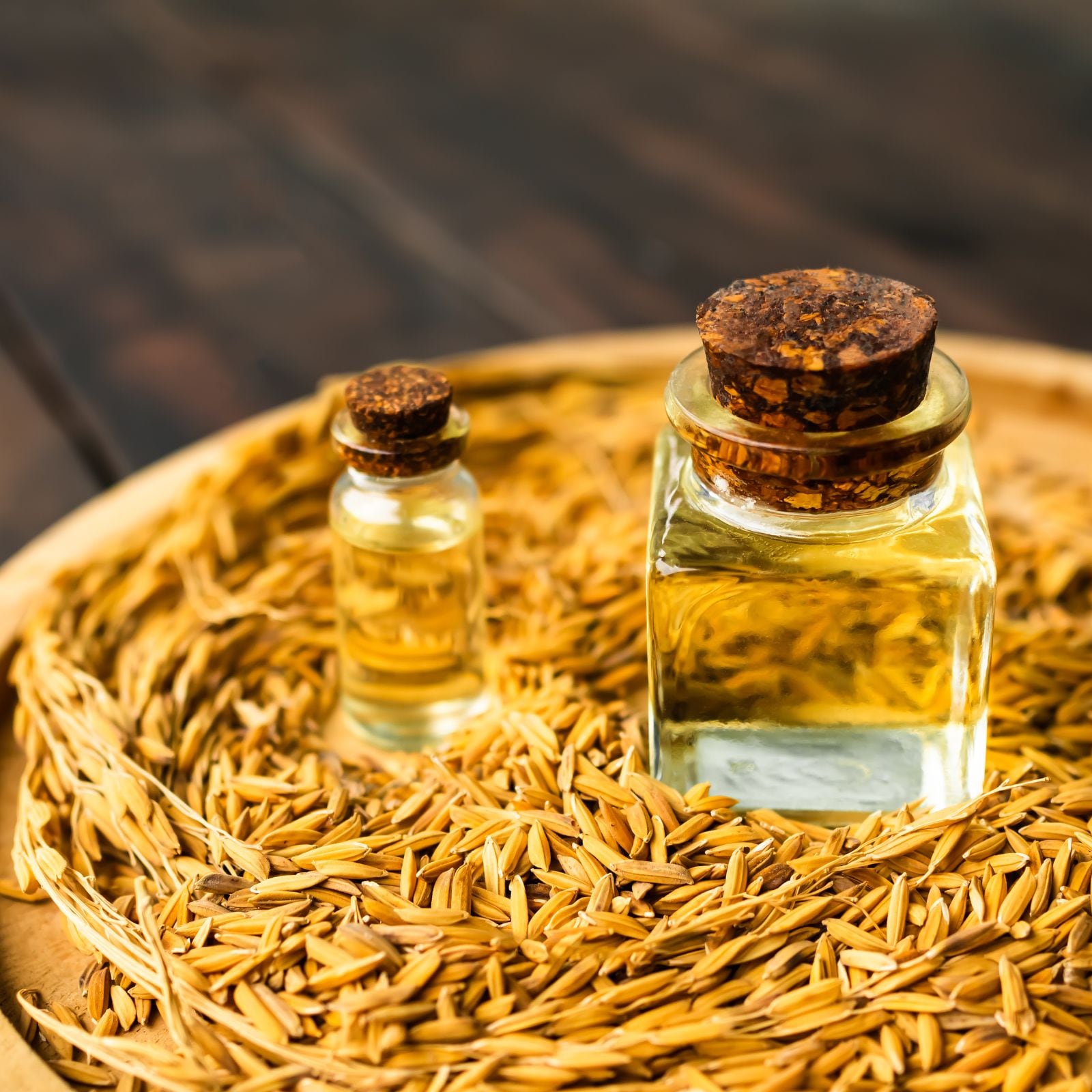Rice Bran Oil ಪ್ರತಿದಿನ ಬಳಸುವ ರೈಸ್ ಬ್ರಾನ್ ಎಣ್ಣೆ ಬಗ್ಗೆ ಈ ವಿಚಾರಗಳು