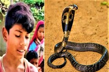Viral News: ತನಗೆ ಕಚ್ಚಿದ ಹಾವನ್ನೇ ಹಿಡಿದು ಕಚ್ಚಿದ ಬಾಲಕ! ಹುಡುಗ ಸೇಫ್, ಉರಗ ಖಲಾಸ್!
