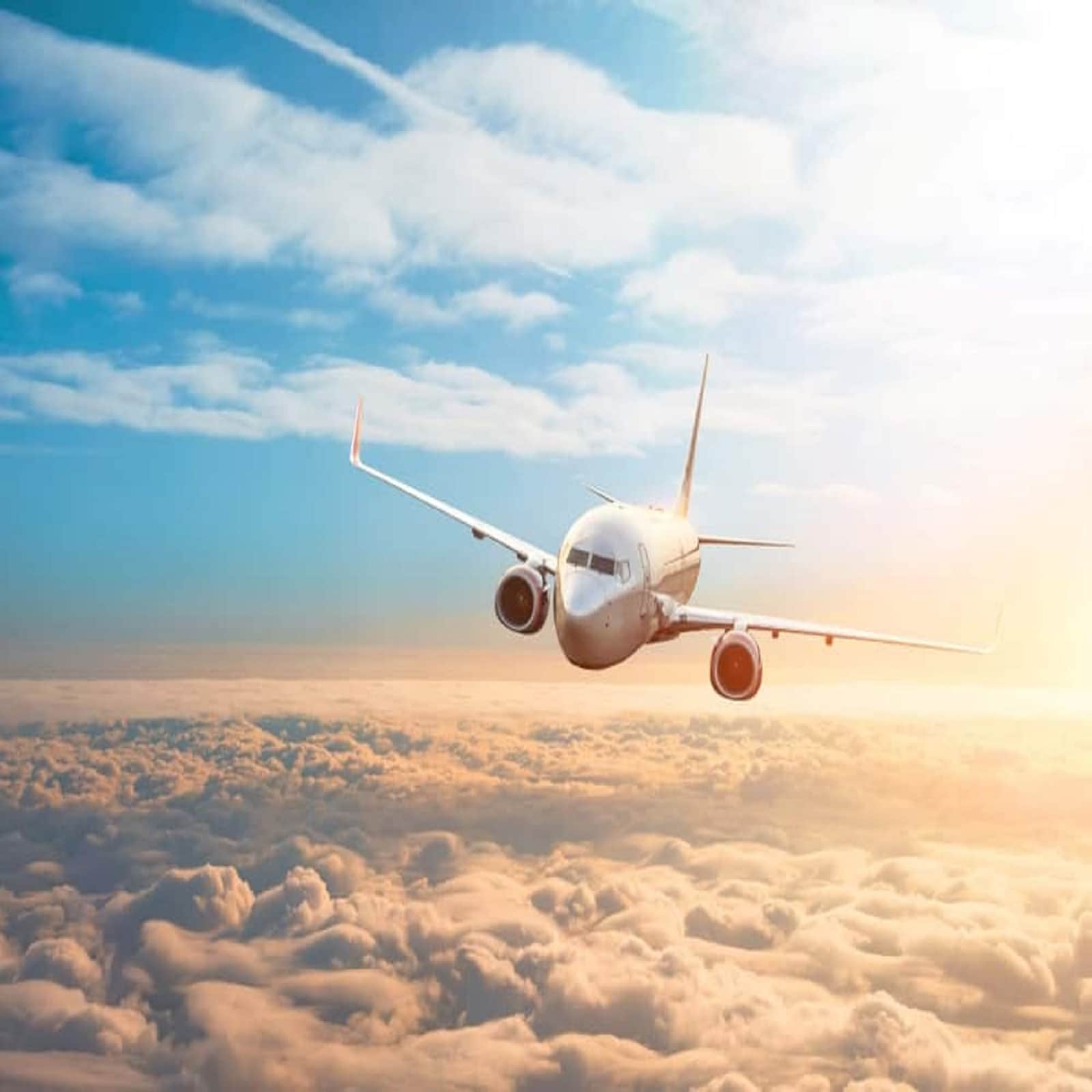 Viral News: A woman who was about to open the door of a plane flying at ...