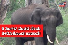 Elephant Revenge: 6 ತಿಂಗಳ ಬಳಿಕ ಸೇಡು ತೀರಿಸಿಕೊಂಡ ಕಾಡಾನೆ! ಹಾಸನದ ಕುಟುಂಬ ಕಂಗಾಲು