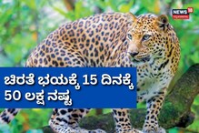 ಒಂದೇ ಒಂದು ಚಿರತೆಯಿಂದ ಆಗಲಿದೆ ಕೋಟಿ ಕೋಟಿ ನಷ್ಟ!